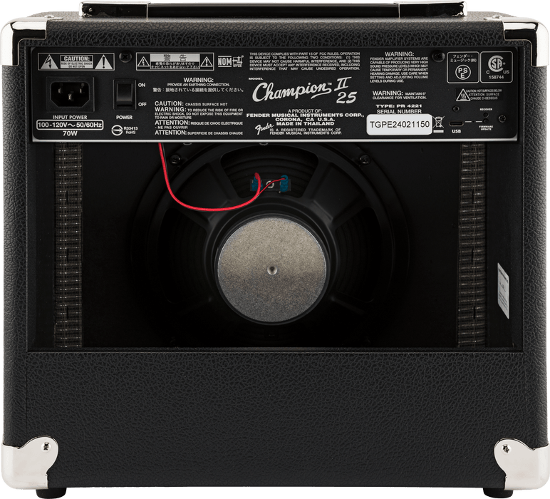 Amplificador Champion II 25, 120 V